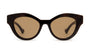 Havana / Brown